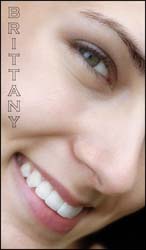 Brittany card